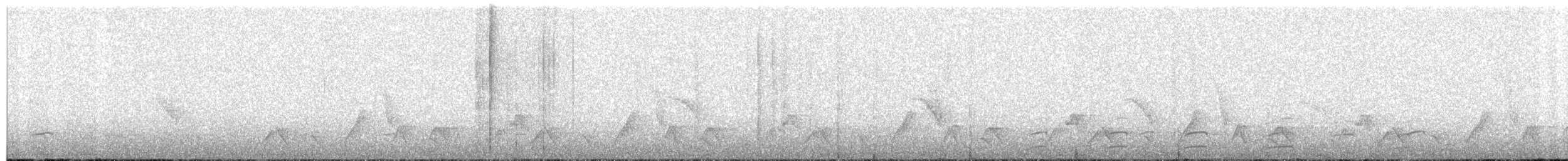 Plain-tailed Wren - ML360346981