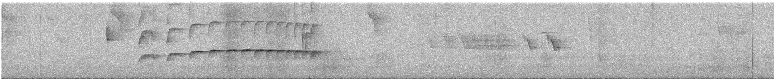 Barred Becard - ML360349761