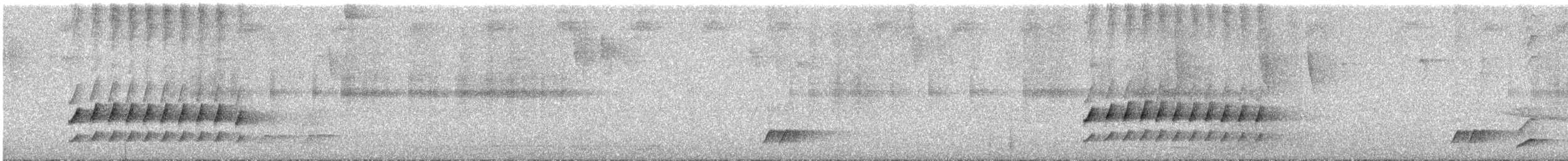 Spillmann's Tapaculo - ML360350901