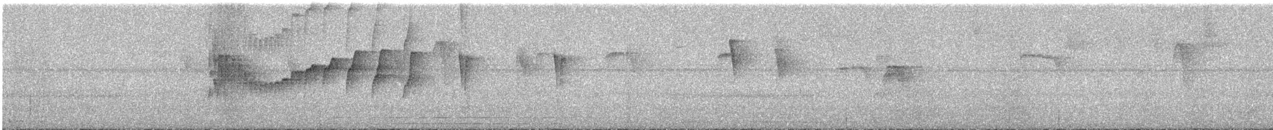 Черноухий тираннчик - ML360352091