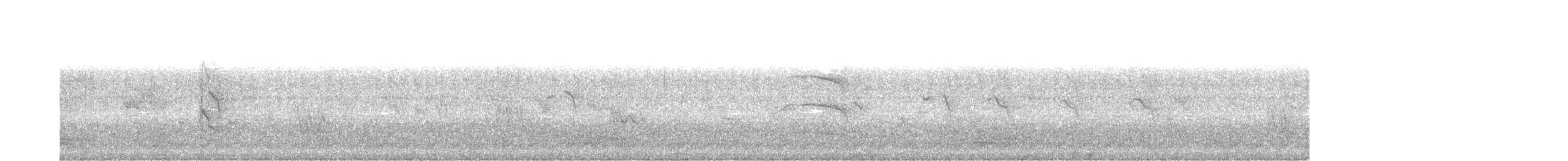 Perruche à collier - ML360361621