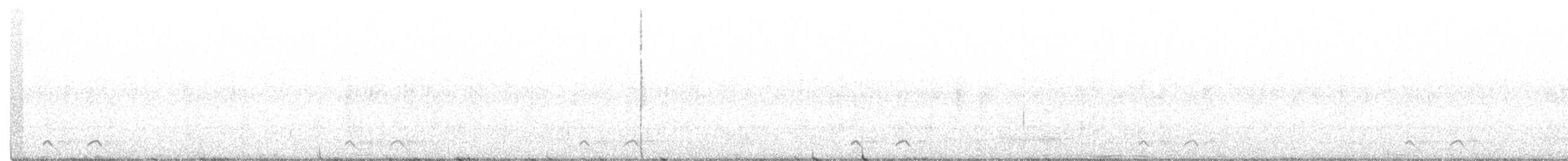 Fleckennachtschwalbe - ML360364041