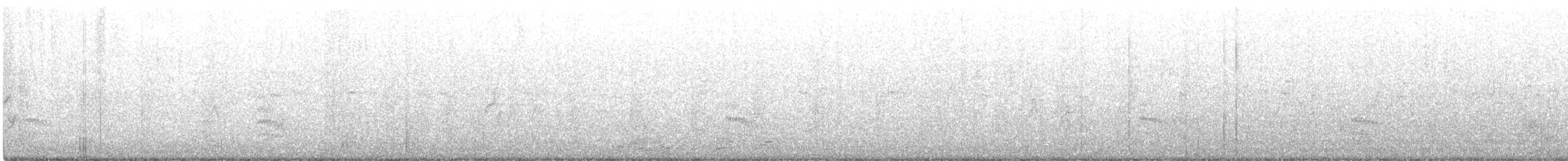 Weißbrustkleiber - ML360400801