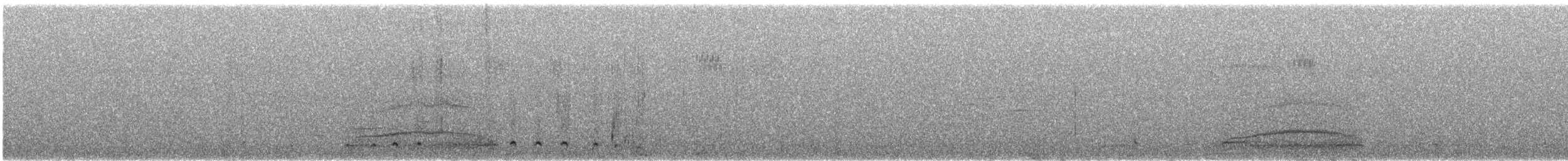 Plongeon huard - ML360420951