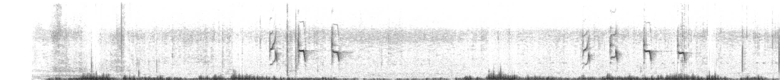 Пестрогрудый эспинеро - ML360478061