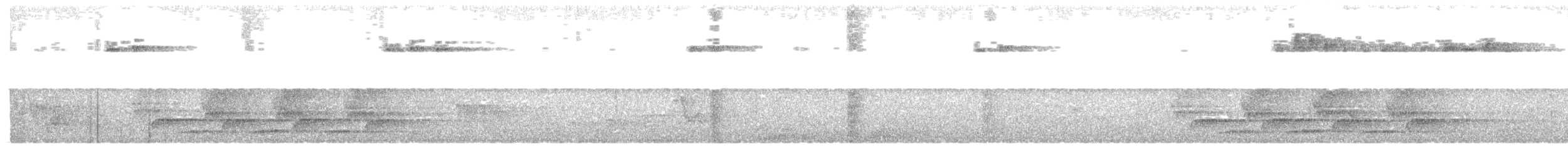 Northern Bobwhite - ML360517611