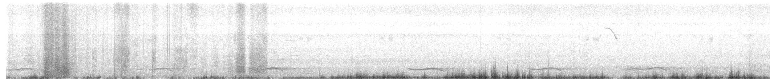 Indian Gray Hornbill - ML360522681