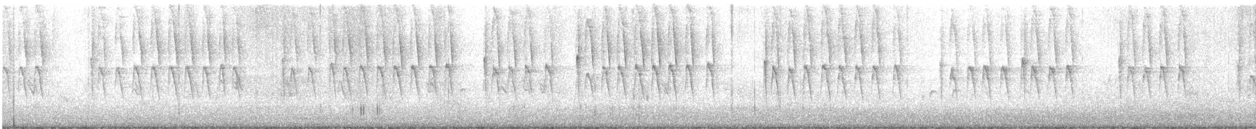 Muskatbronzemännchen - ML360531821