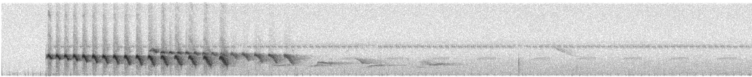 Grauband-Ameisenvogel - ML360538681