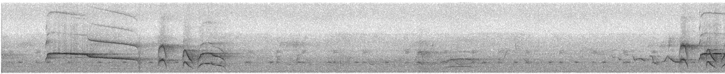 Полосатый канюк - ML360549391