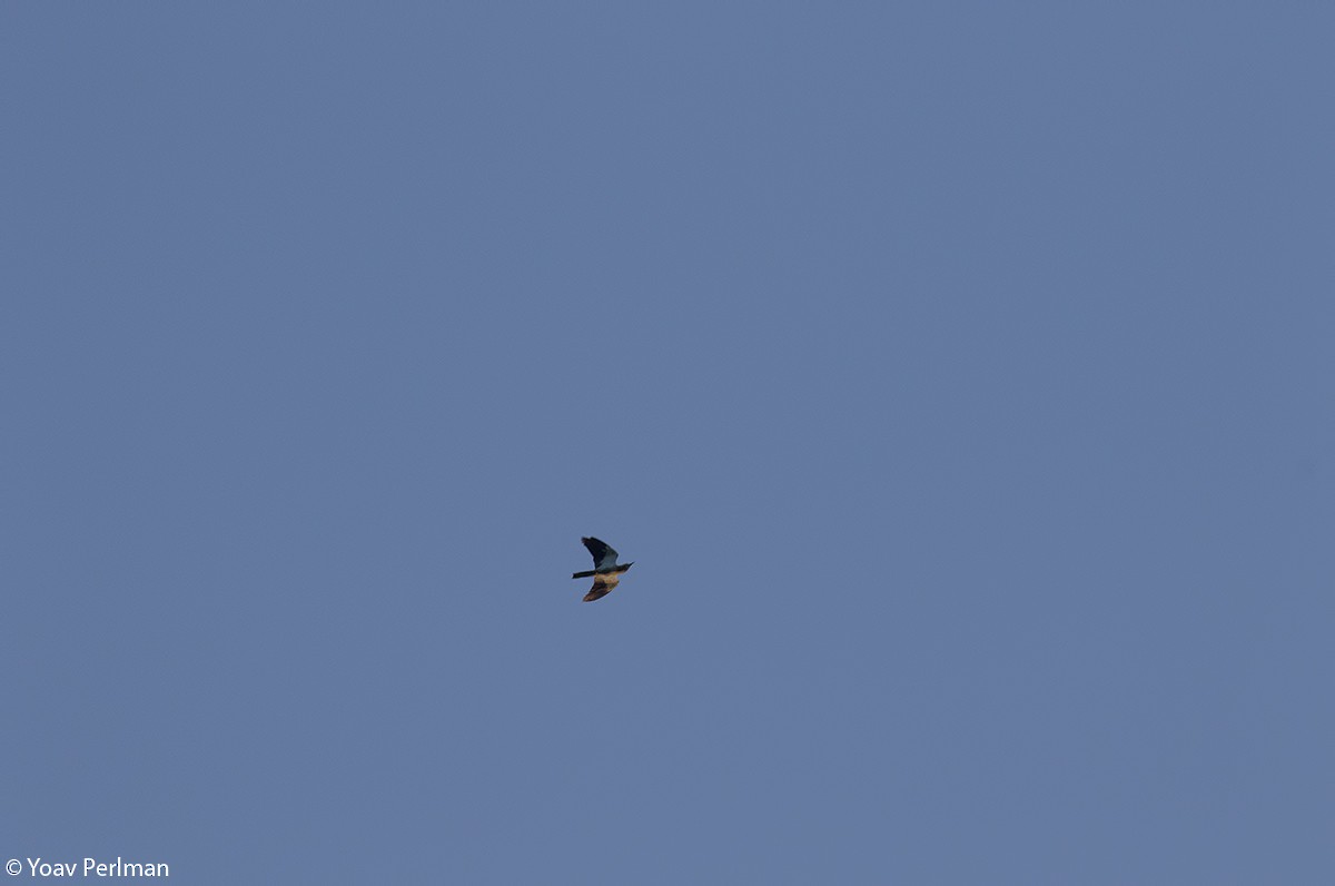 Өрнийн зүсэг - ML360579541