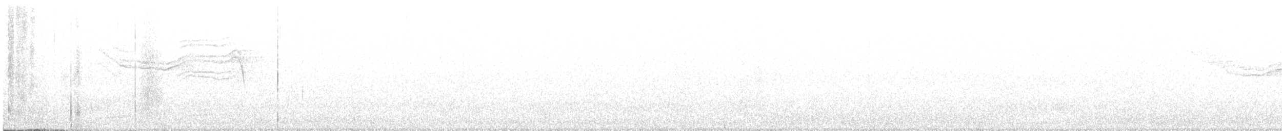 Сова плямиста (підвид lucida) - ML360580501