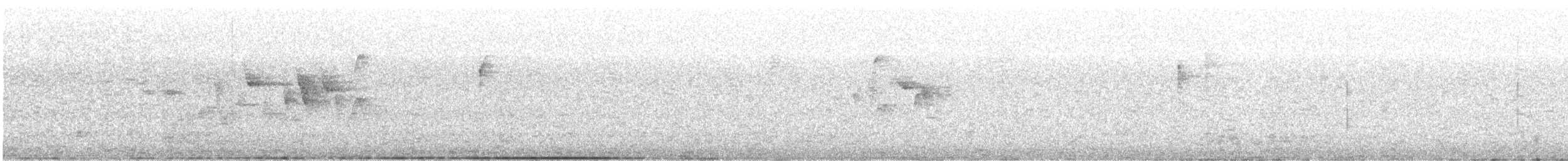 Canada Warbler - ML360593741
