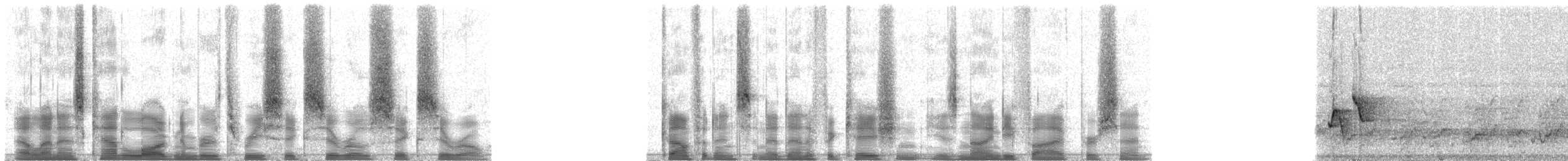 Riverside Wren - ML36060