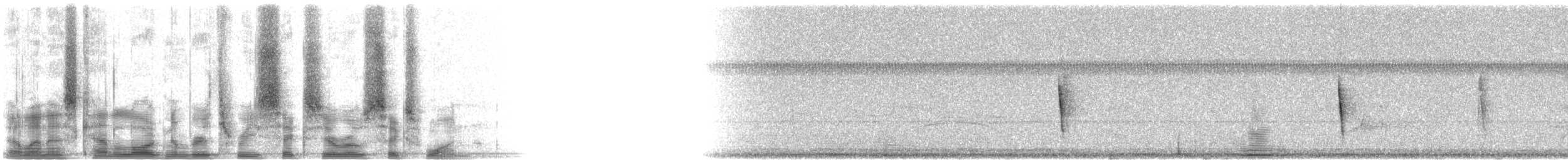 Kentucky Warbler - ML36061