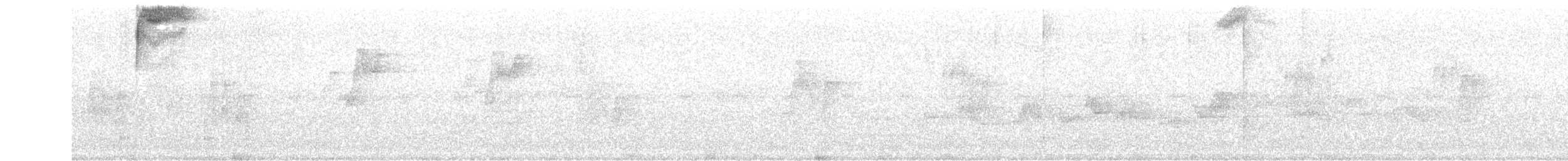 White-eared Ground-Sparrow - ML360631591