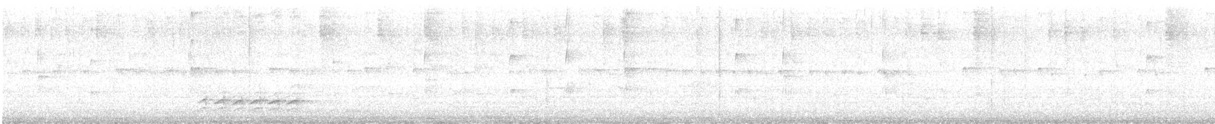 Weißbrustkleiber - ML360659631