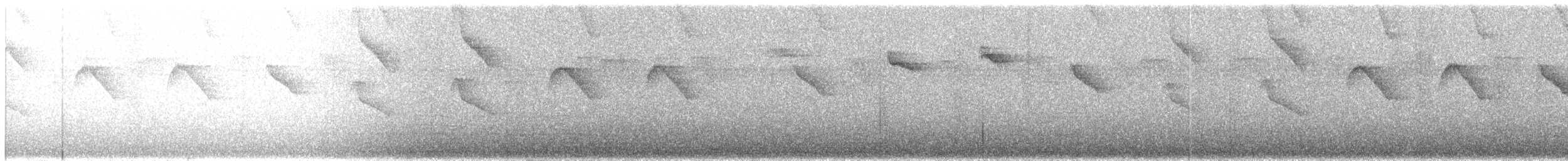 kolibřík podrostní - ML360727691