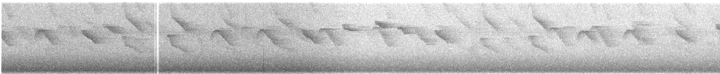 Черногорлый колибри-отшельник - ML360728231