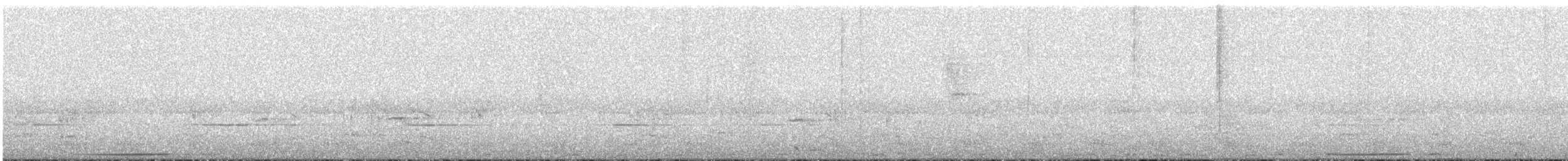 holub bledočelý - ML360757491