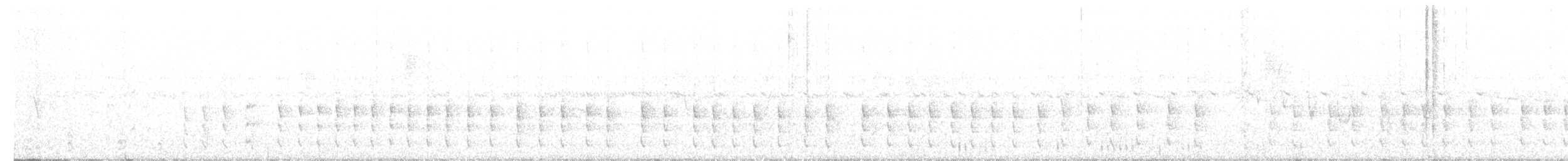 Halsflecken-Baumspäher - ML360758481
