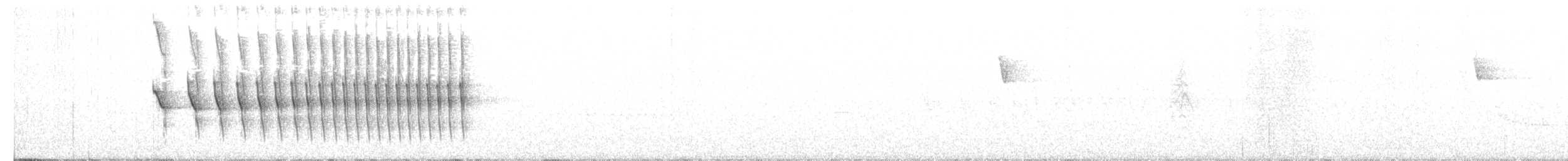 Koyu Kuyruklu Karıncakuşu - ML360758511