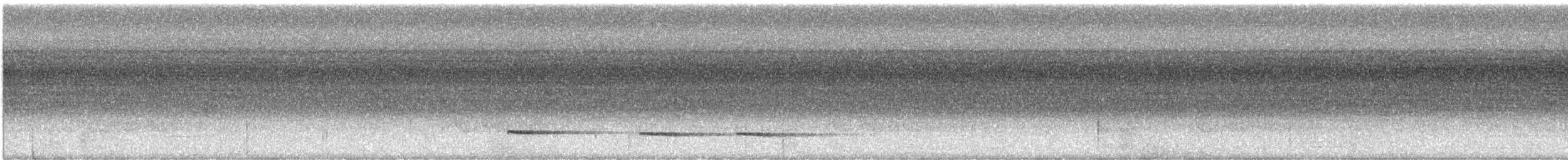 Kara Yüzlü Karıncaardıcı [hoffmanni grubu] - ML360793481