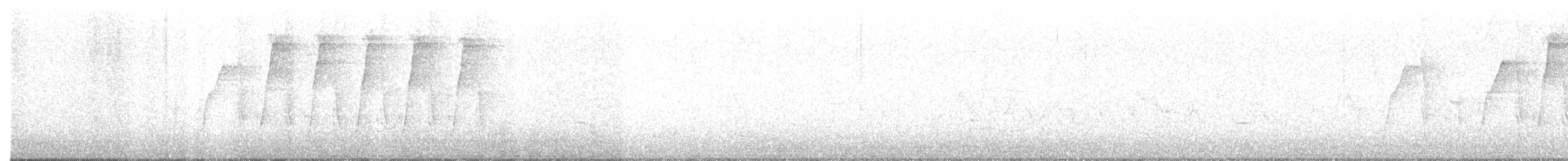 Kara Göğüslü Serçe - ML360801701