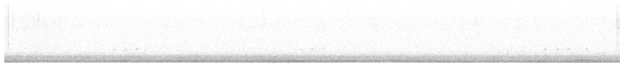 Olivflanken-Schnäppertyrann - ML36093051