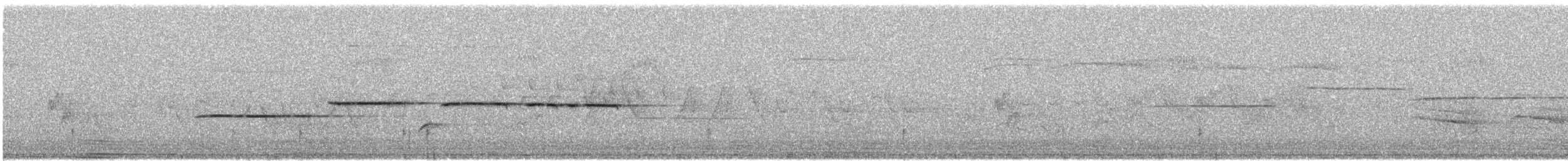 גיבתונית לבנת-גרון - ML360930991