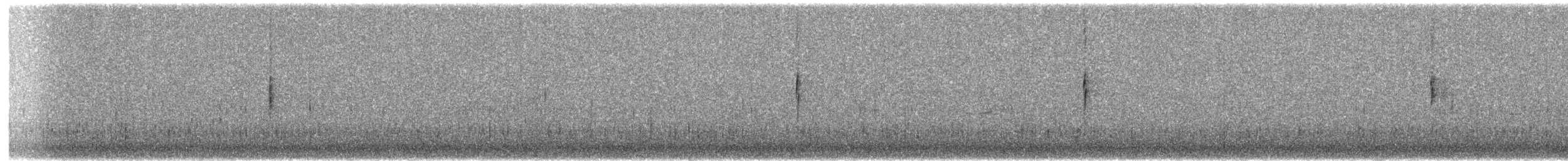 MacGillivray's Warbler - ML360963131