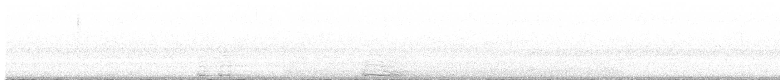 Сова плямиста (підвид lucida) - ML360983221