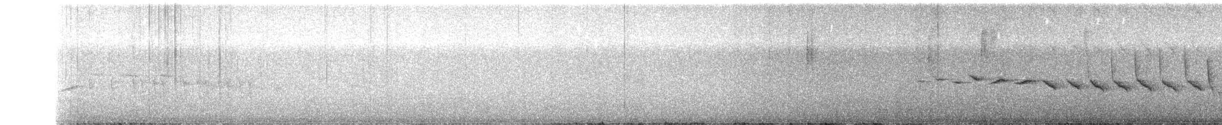 Lacivert Tangara - ML361005051