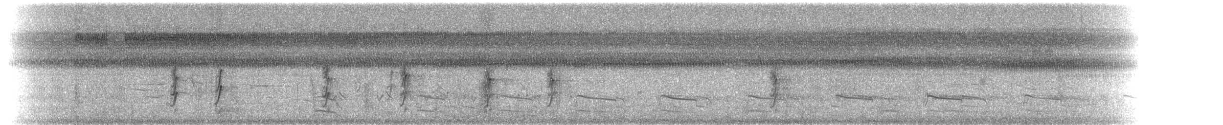 Hirondelle rustique - ML36108261