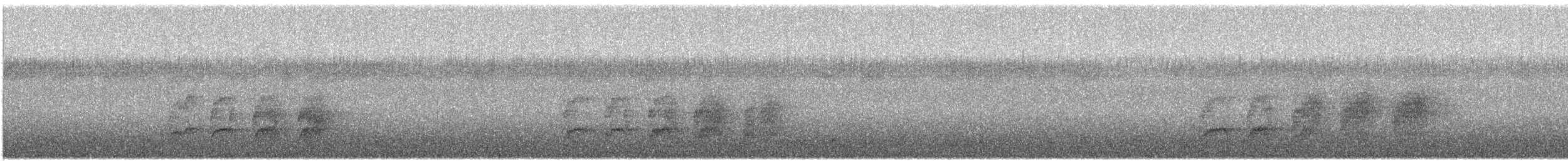 Rostflanken-Ameisenschnäpper - ML361102131