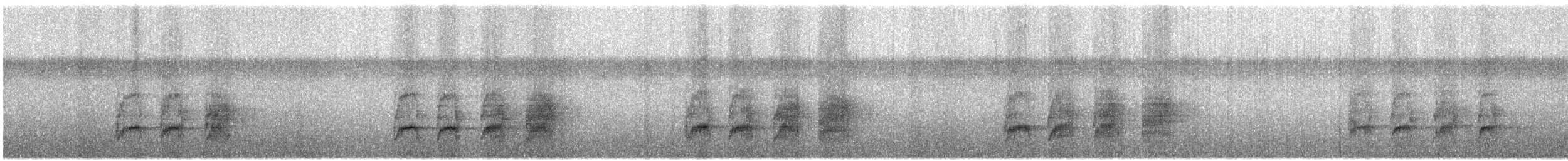 Rostflanken-Ameisenschnäpper - ML361102141