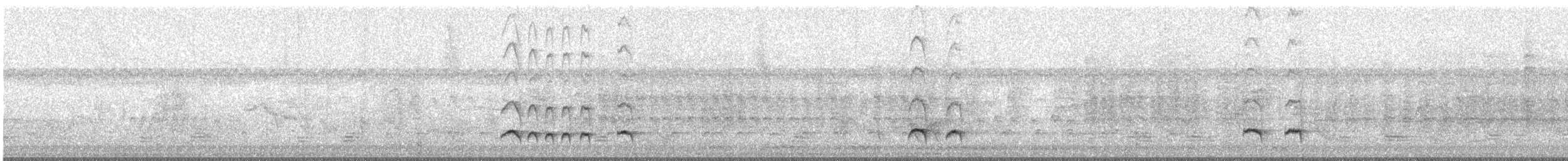 Kuzeyli/Güneyli Ak Şeritli Karıncakuşu - ML361159771