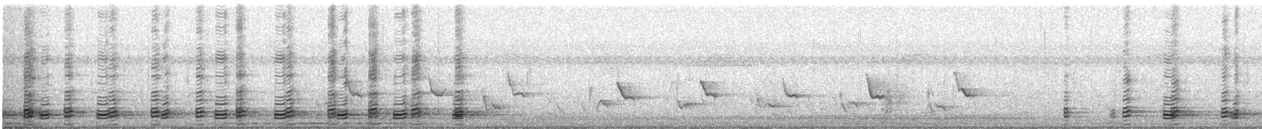 Sharp-tailed Ibis - ML361171691