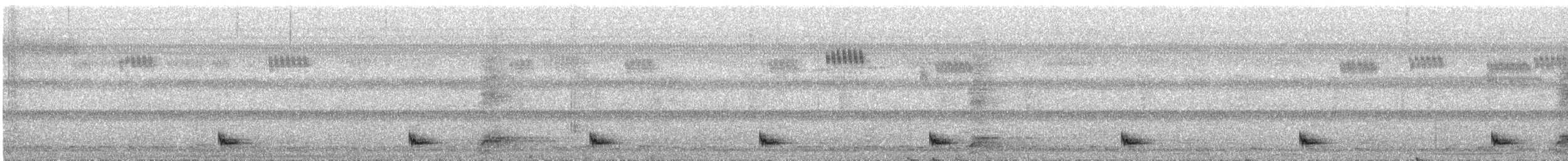 Engoulevent leucopyge - ML361173061