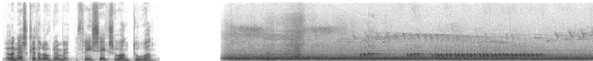 Turuncu Alınlı Barbet - ML36121