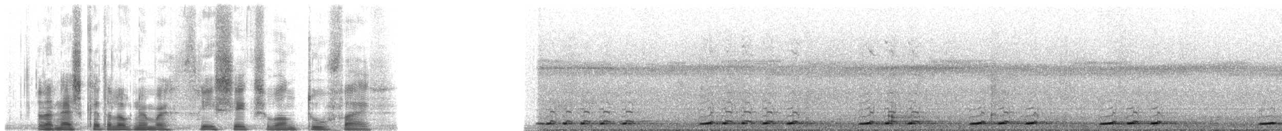 Cava Kahverengi Kafalı Barbeti - ML36125