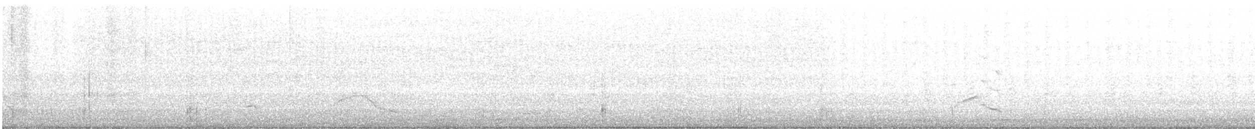 Черноголовый толстонос - ML361293051