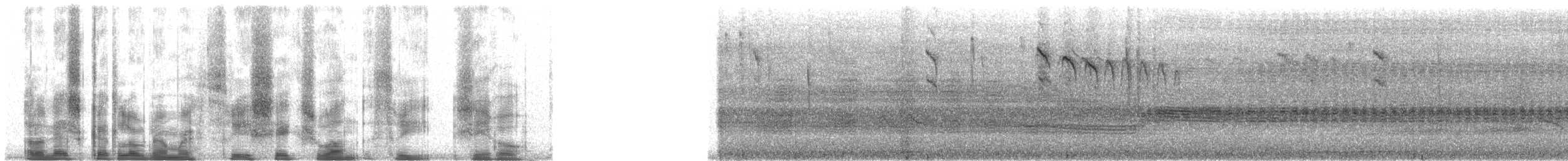 Cava Kahverengi Kafalı Barbeti - ML36130