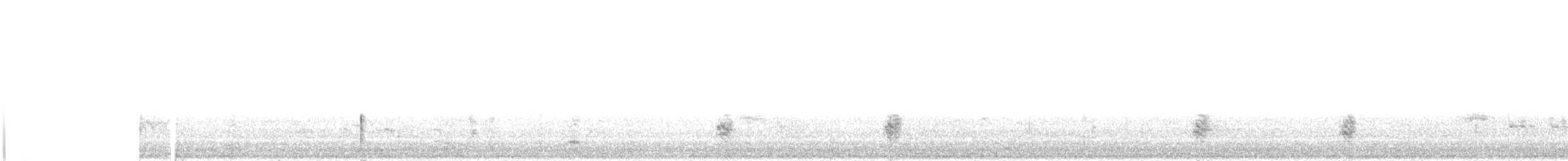 Мускусная утка (Одомашенного типа) - ML361302001