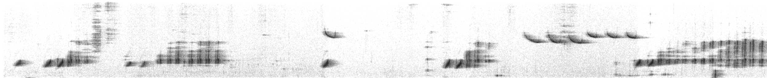 キンバネガビチョウ - ML361328151