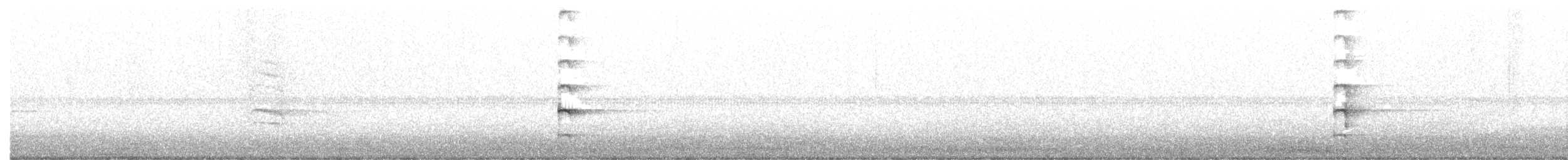 Sora Suyelvesi - ML361347321