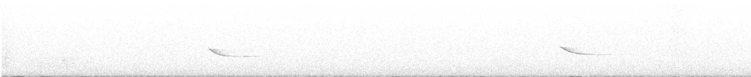 Рыжебрюхий фиби - ML361347961