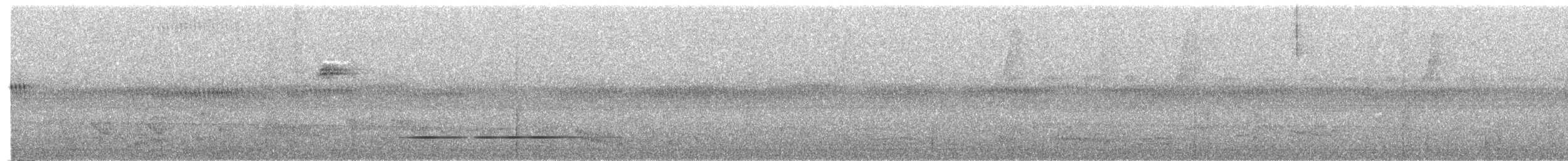 Tinamou cendré - ML361401521