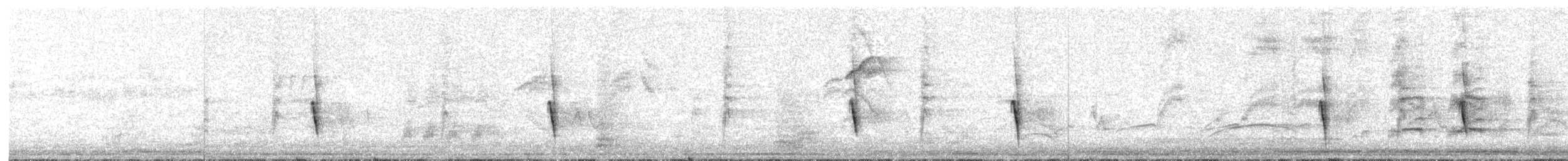 Тиран-малюк гвіанський - ML361412491