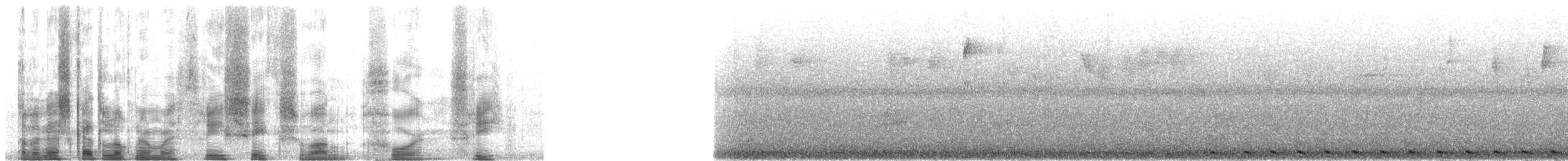 Бородастик буроголовий - ML36143